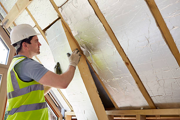 Best Cellulose Insulation in Lincoln, AL